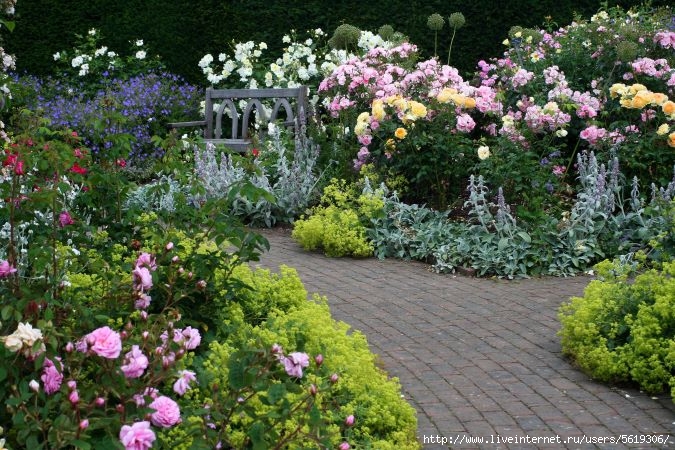 766574-Rosemoor-Garden-Devon-England-Gardens-Roses-Shrubs (675x450, 291Kb)