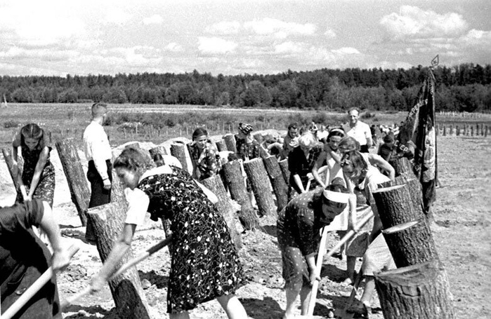 ссср Девушки сооружают противотанковые надолбы на подступах к Москве, Подмосковье, 1941 год (700x455, 238Kb)