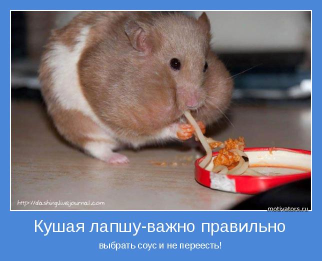 4743317_motivator67906 (644x522, 40Kb)
