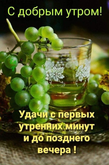4743317_image20220522_09_48_15 (460x700, 241Kb)