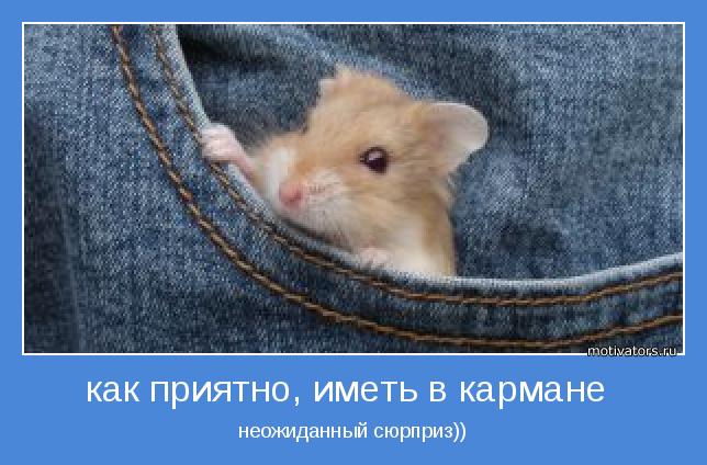 4743317_motivator67977 (644x424, 50Kb)