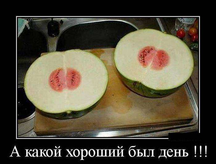 4743317_1440134699_18 (700x531, 39Kb)