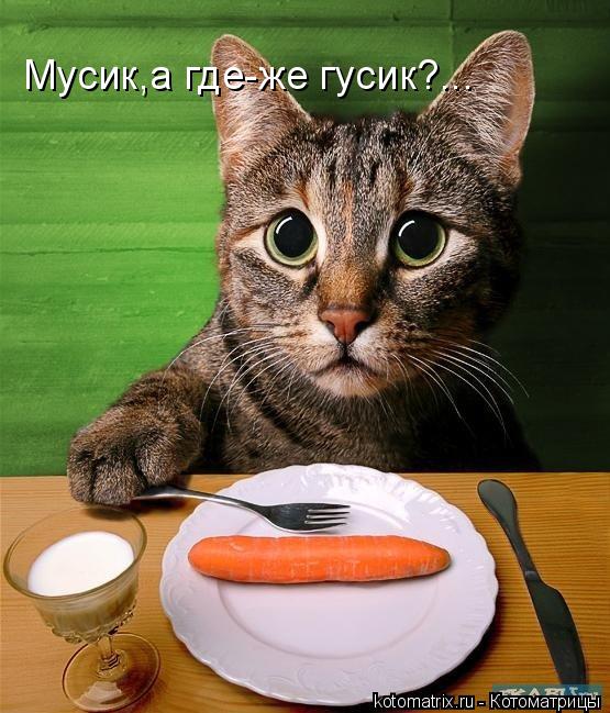 4743317_aG (555x649, 71Kb)