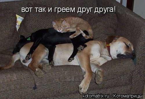 4743317_0W (500x340, 33Kb)