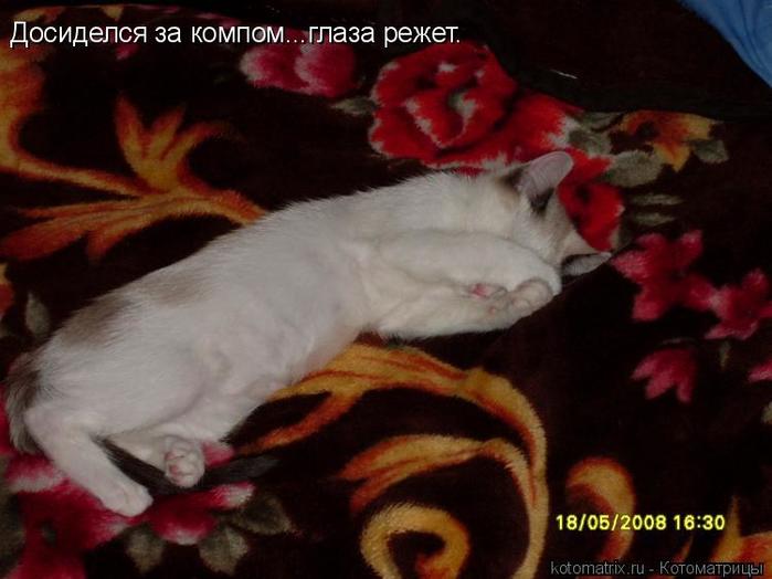 4743317_o4 (700x524, 40Kb)