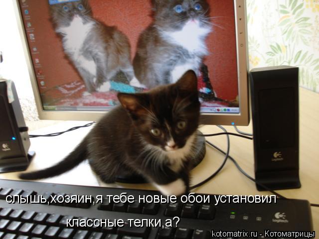 4743317_Yg (640x480, 45Kb)