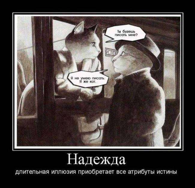 4743317_1440134751_12 (650x624, 59Kb)