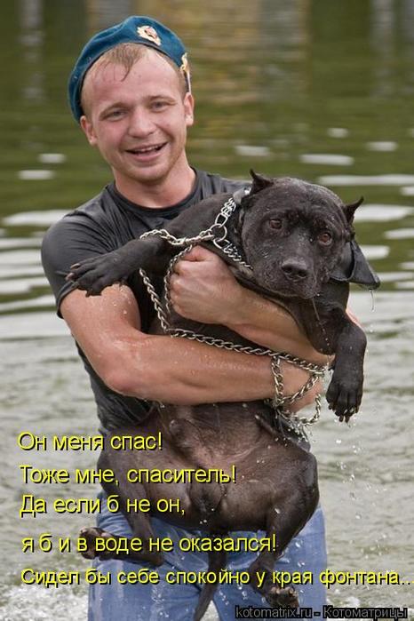 4743317_JB (466x700, 58Kb)