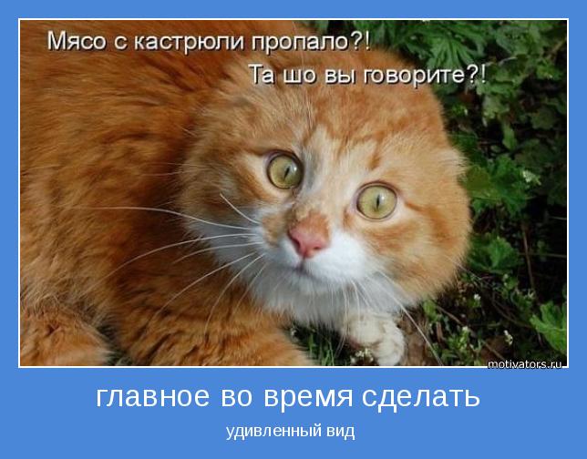 4743317_motivator69748 (644x504, 51Kb)
