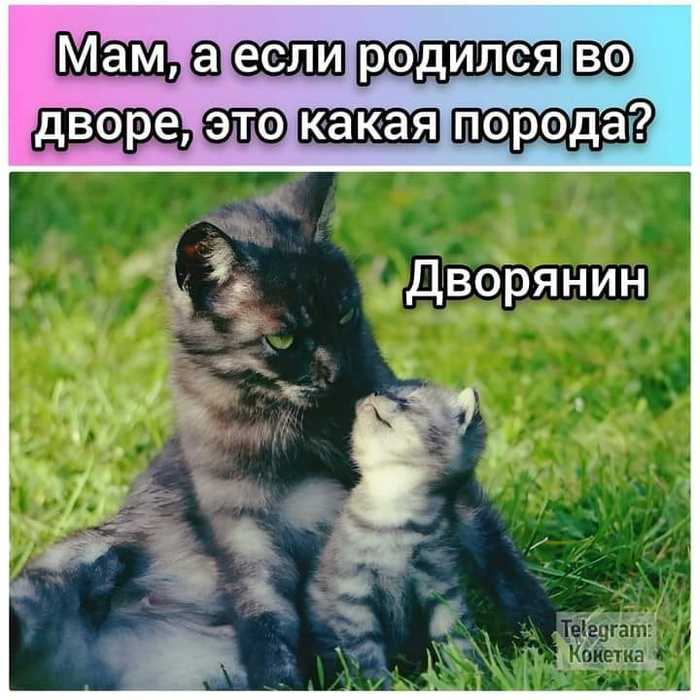 3416556_452977165_1038812791004683_1749813908939959672_n (700x700, 54Kb)