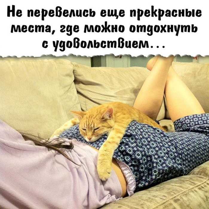 3416556_452379351_971569148102402_8673860739025437142_n (700x700, 59Kb)