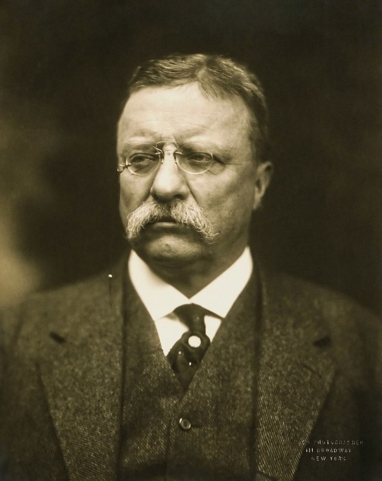 T_Roosevelt (557x700, 63Kb)