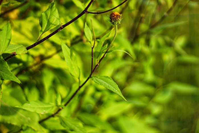 9 (700x466, 371Kb)