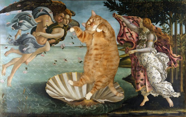 Cat-Zarathustra-picture-12 (600x377, 224Kb)