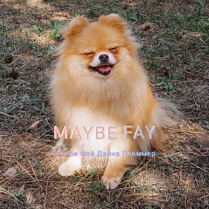    MAYBE FAY    (700x700, 352Kb)