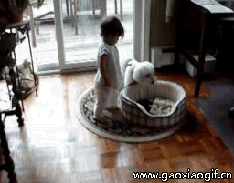 159659325_gifhaha67 (256x201, 4790Kb)