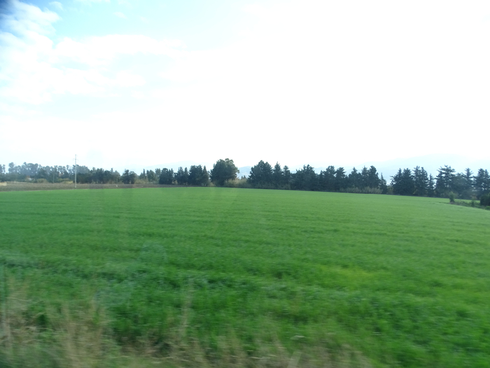 DSC00414 (700x525, 226Kb)