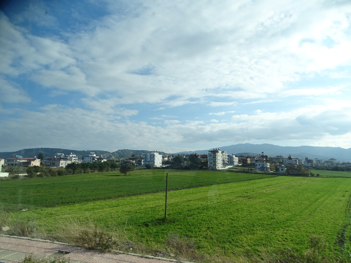 DSC00428 (700x525, 369Kb)