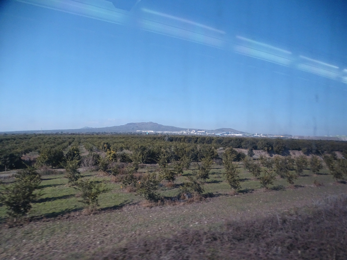 DSC00474 (700x525, 347Kb)