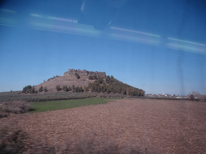 DSC00477 (700x525, 325Kb)