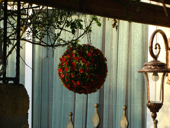 DSC00407 (700x525, 474Kb)