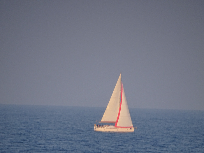 DSC00430 (700x525, 254Kb)