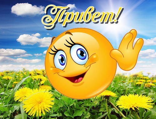 Смайлик Привет с одуванчиками (500x380, 60Kb)