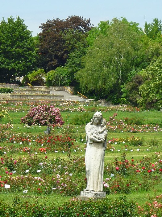 rose-garden-statue-rose-bushes-colorful-roses (525x700, 206Kb)