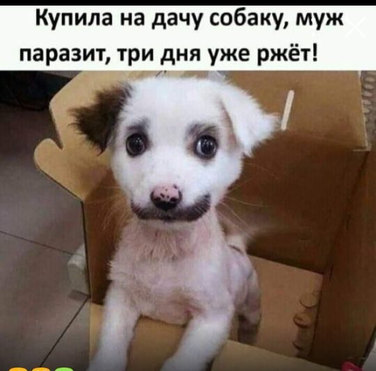 UID8316_1594182461_100 (540x533, 34Kb)