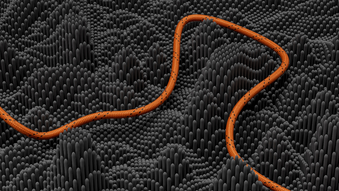 CompDeskWalCol-2973__032 (700x393, 263Kb)