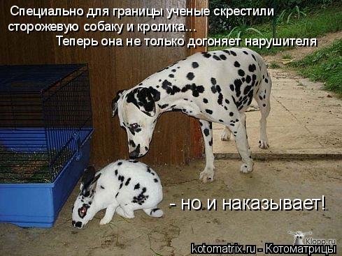 4743317_y0 (489x367, 48Kb)