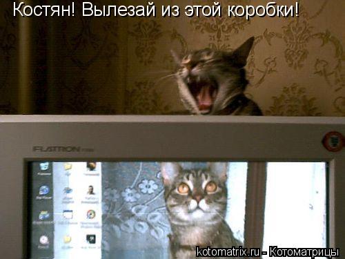 4743317_5h (500x375, 30Kb)