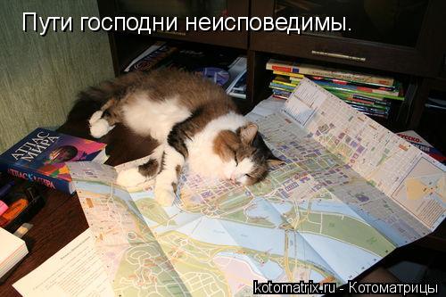 4743317_yw (500x333, 37Kb)