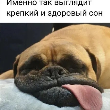 4743317_i_45 (450x450, 56Kb)