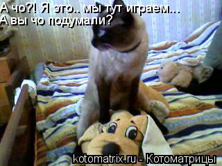 4743317_aT (320x240, 20Kb)