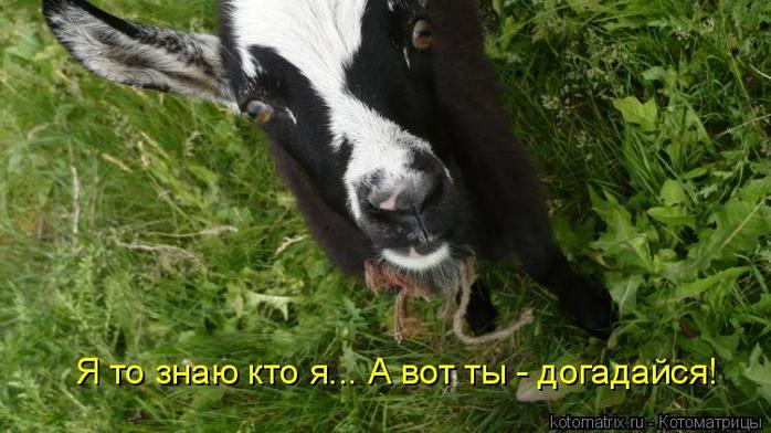 4743317_Yn (700x392, 55Kb)