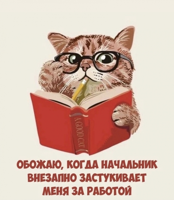 4743317_3c6f6531 (608x700, 196Kb)