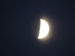  DSCN1020 (700x525, 254Kb)