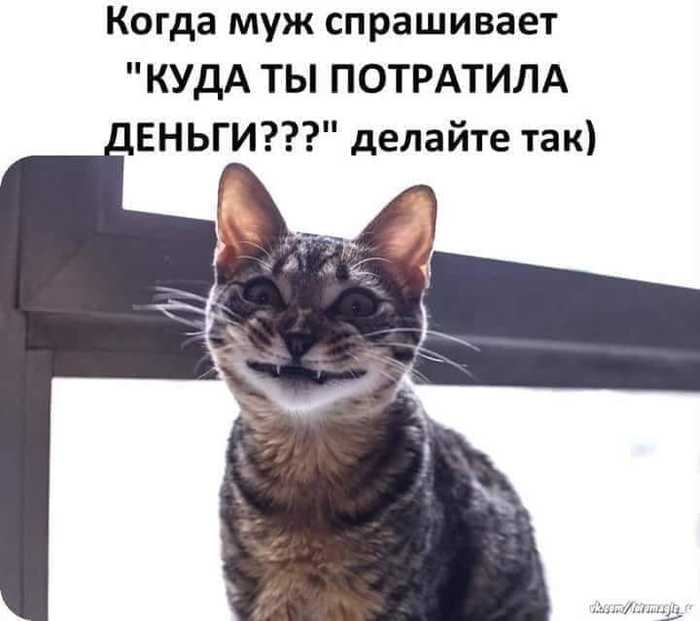 3416556_461830167_521756337266596_4869285036840199541_n (700x621, 29Kb)
