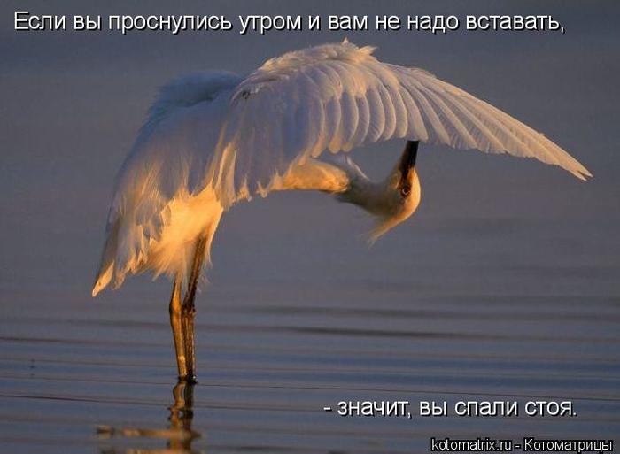4743317_XK (700x513, 35Kb)