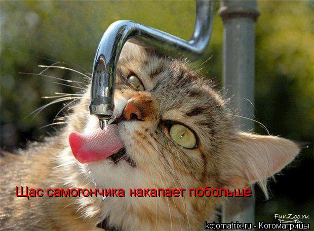 4743317_u_ (620x457, 57Kb)