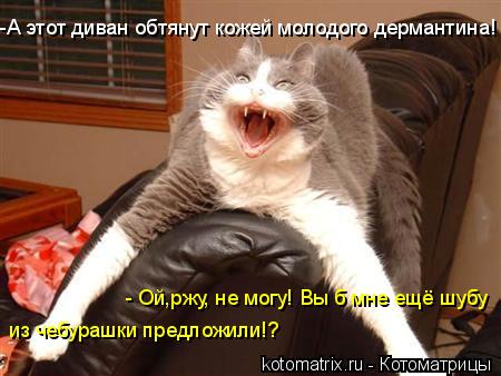 4743317_tt (450x338, 32Kb)