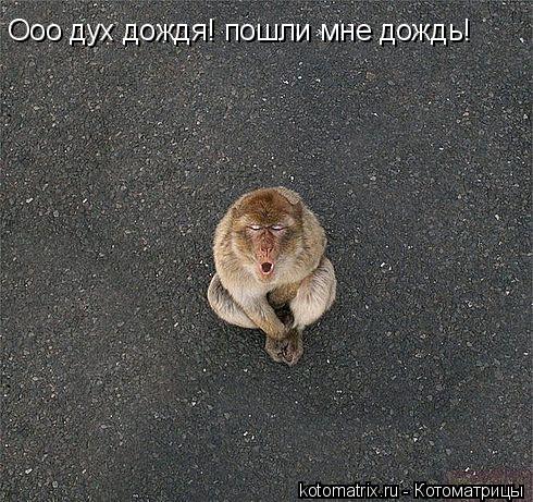 4743317_6X (490x461, 78Kb)