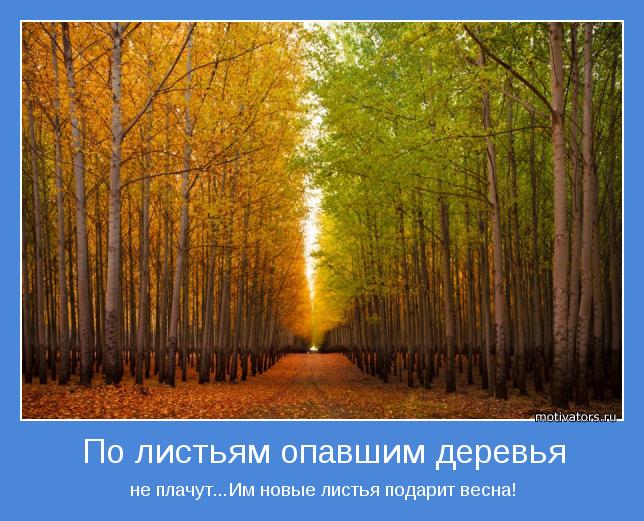 https://img1.liveinternet.ru/images/attach/d/4/163/160/163160195_4743317_motivator71339.jpg