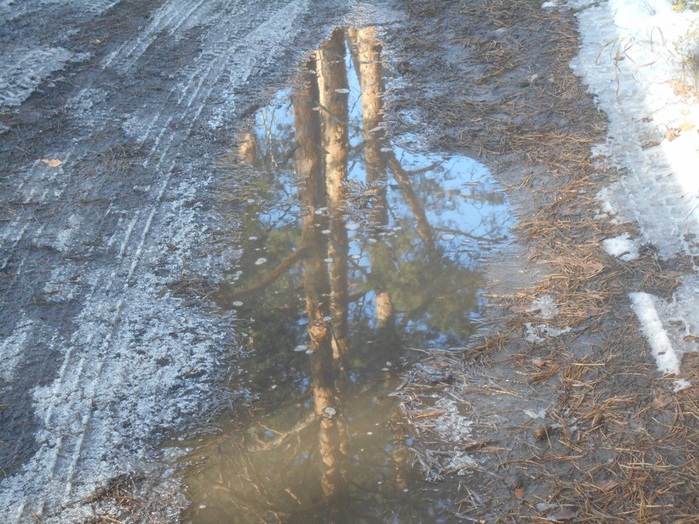 4533467_DSCN6475 (700x524, 185Kb)
