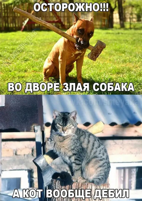 Во дворе злая собака (493x700, 418Kb)