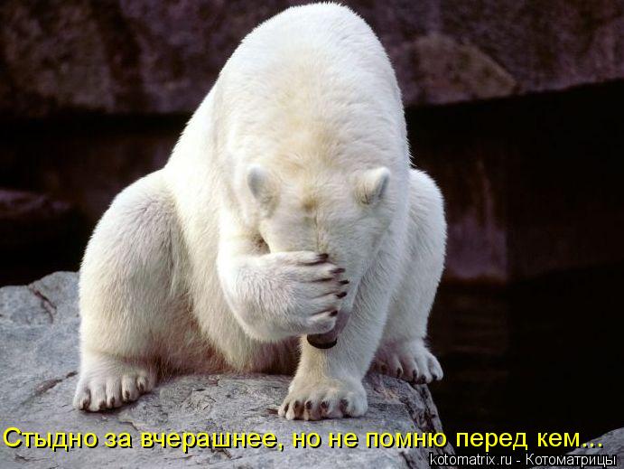 4743317_S0 (691x519, 51Kb)