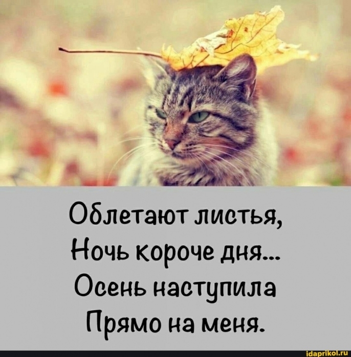 https://img1.liveinternet.ru/images/attach/d/4/163/164/163164219_4743317_a5451d39.jpg