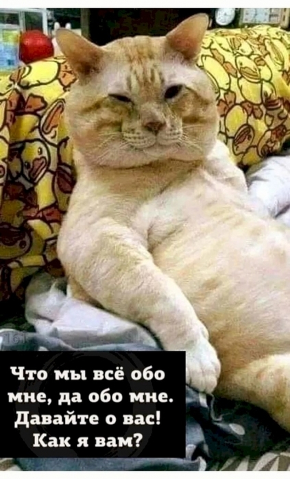 https://img1.liveinternet.ru/images/attach/d/4/163/164/163164225_4743317_1a969dcc.jpg