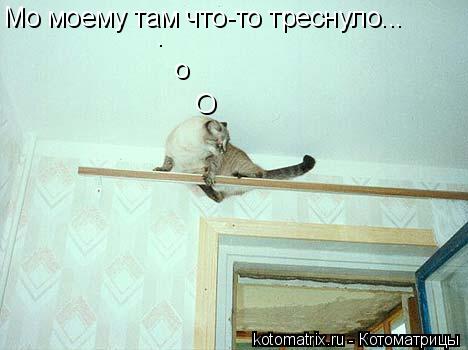 4743317_hj (468x350, 23Kb)